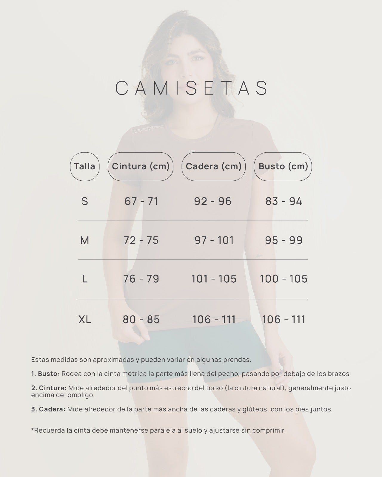 Guía de tallas - Camiseta Evolution